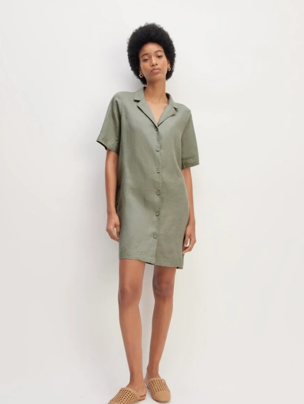 Everlane Linen Shirtdress
